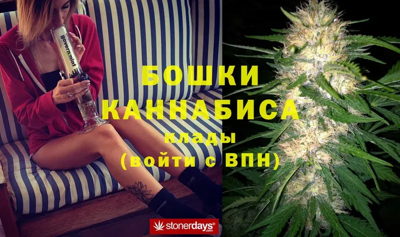 купить закладку  Орехово-Зуево  Шишки марихуана THC 21% 